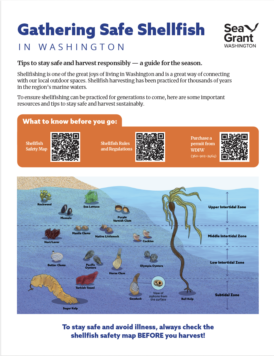 Gathering Safe Shellfish handout